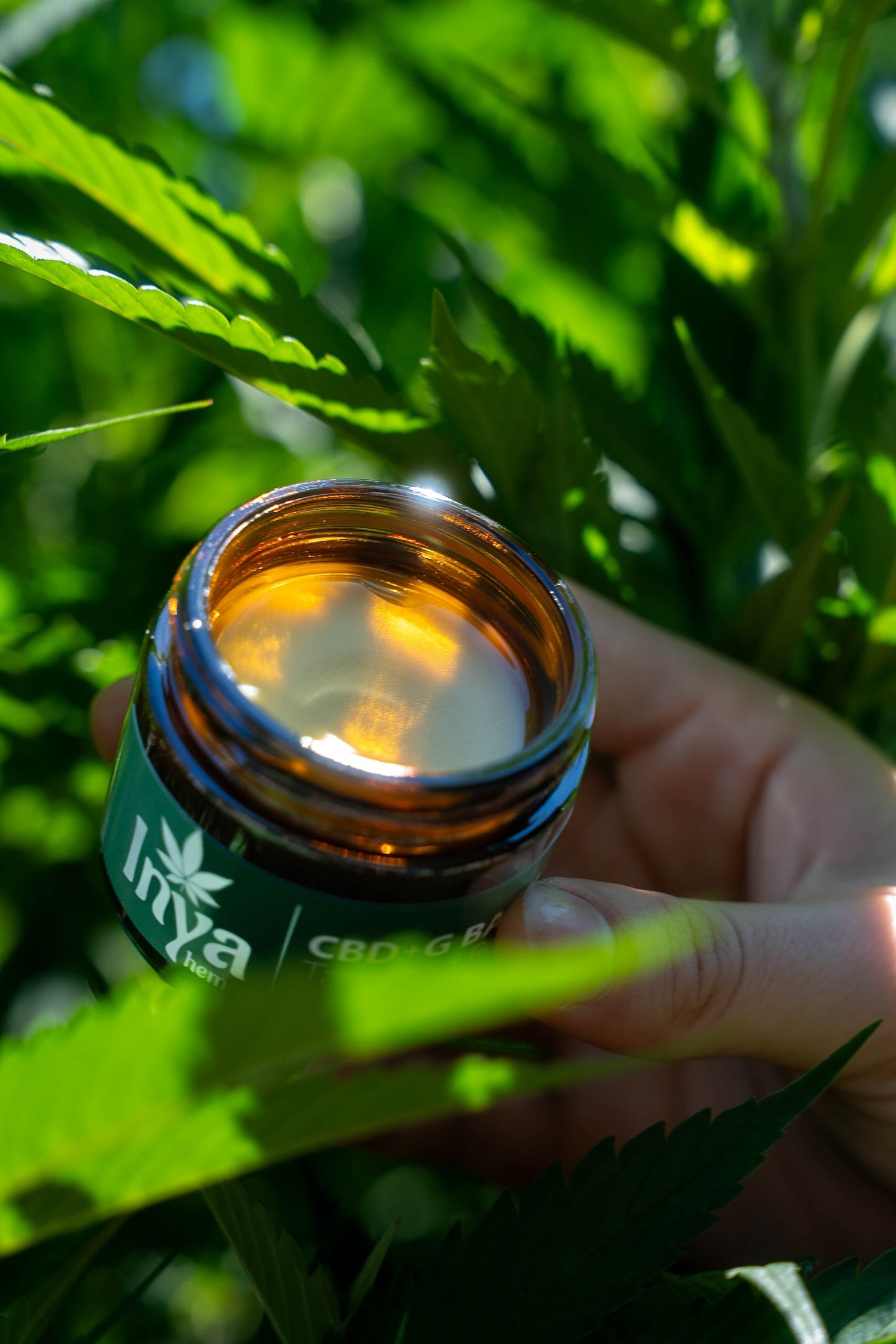 What Is Full-Spectrum Hemp Extract?