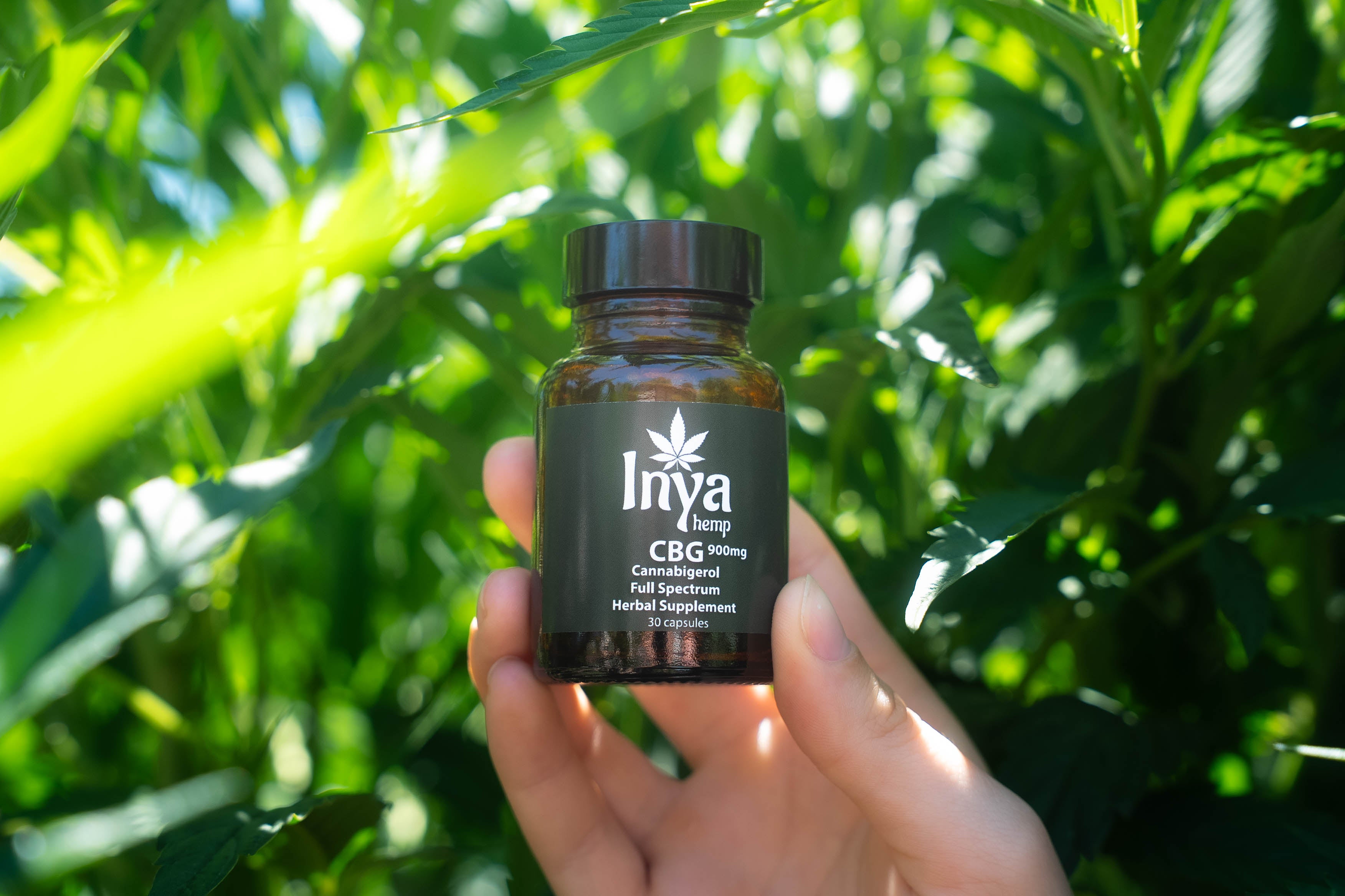 CBG Capsules – InyaHemp